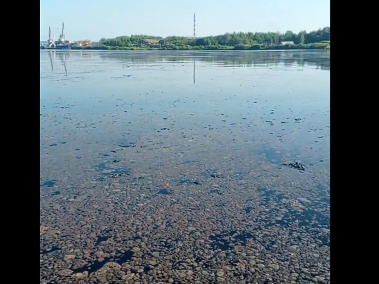 Эксперты объяснили происхождение комков грязи на поверхности Онежского озера