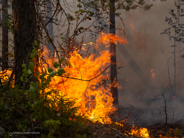 В Беломорском районе введен режим чрезвычайной ситуации