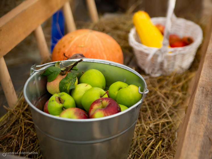 Жителям Карелии дали рекомендации по правильному выбору овощей и фруктов