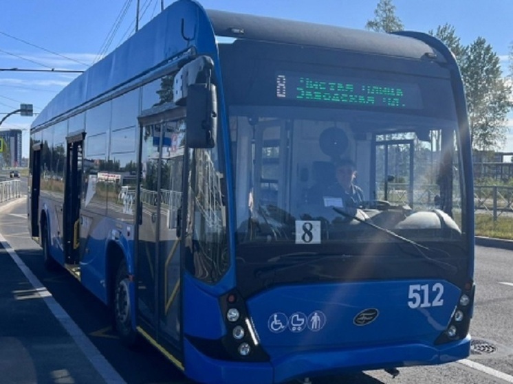 Временно не будут ходить троллейбусы по улице Чапаева в Петрозаводске