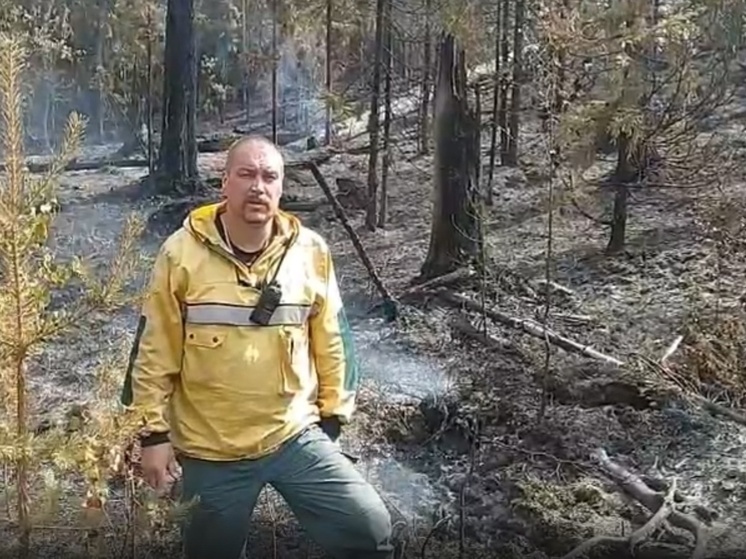 В Муезерском районе Карелии локализован крупный лесной пожар