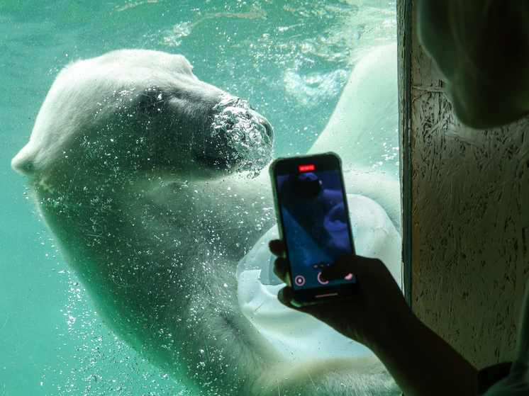 Модная страна для отдыха: почему жители богатых арабских стран едут в Россию