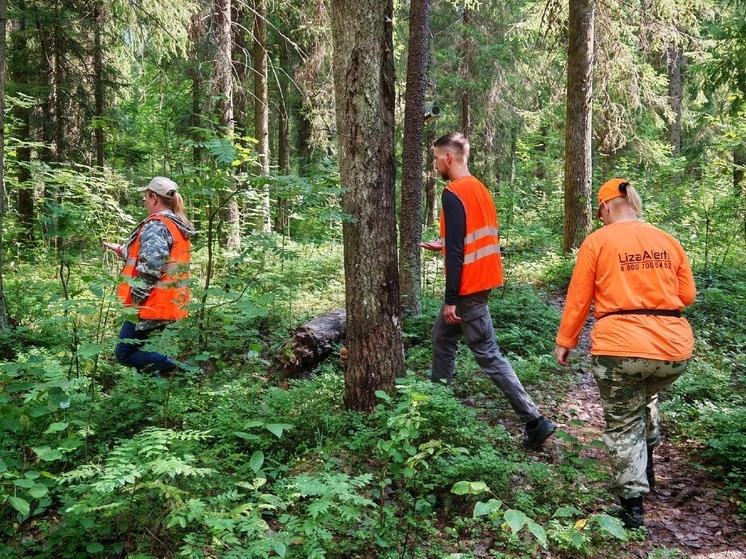 Карельские поисковики за месяц нашли 33 пропавших человека