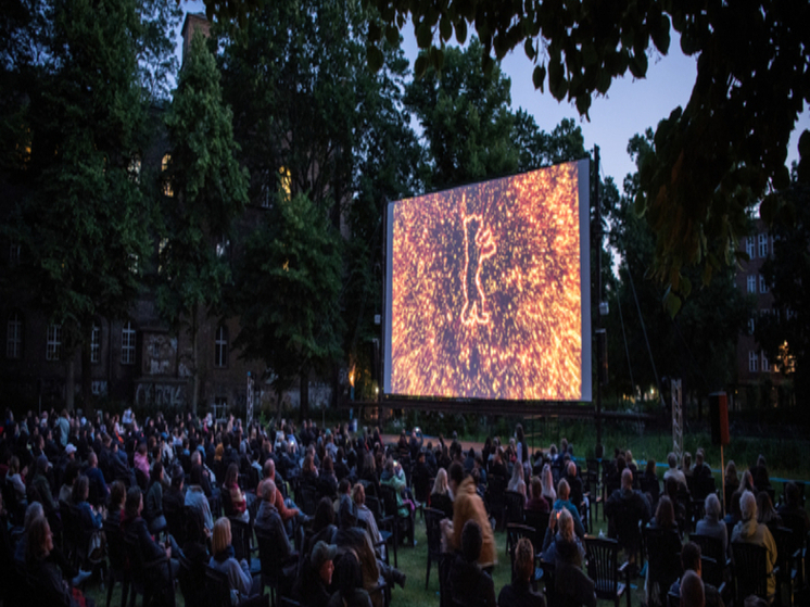 В поселке Пряжа организуют показ кино под открытым небом