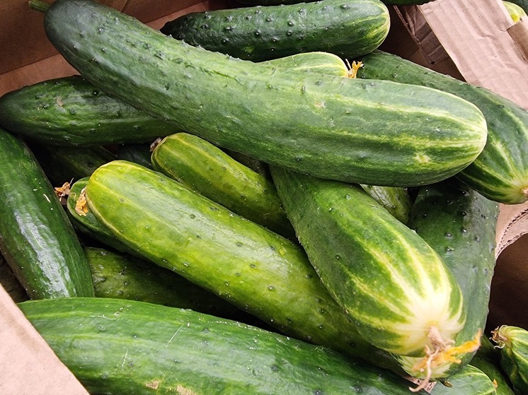 Цены на огурцы значительно выросли в Карелии
