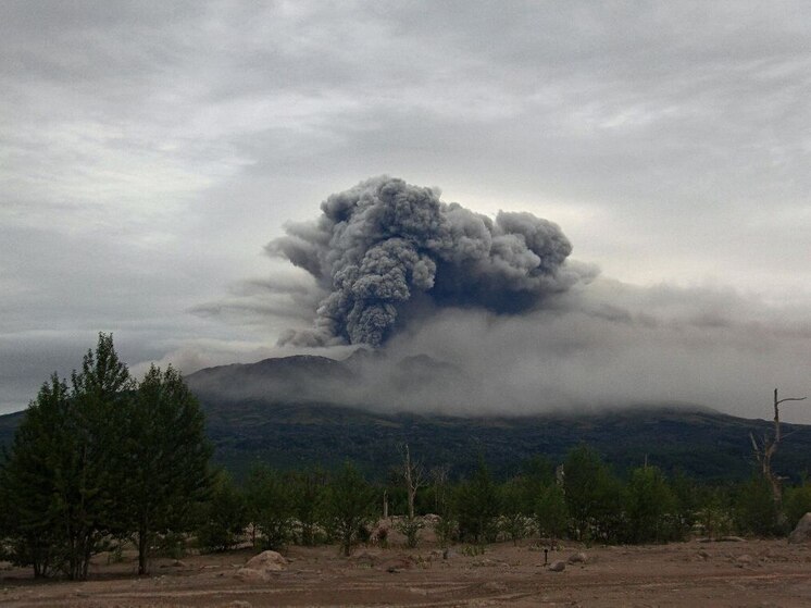 «Пеплопад»: застрявшие в аэропорту Петропавловска-Камчатского из-за извержения вулкана пассажиры рассказали об обстановке