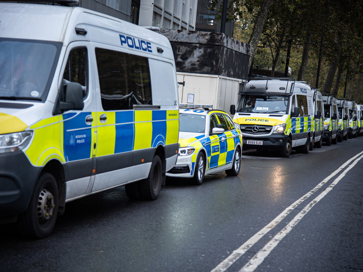 Во вражеской стране полиция арестовала сотни людей в ходе акции протеста против геноцида