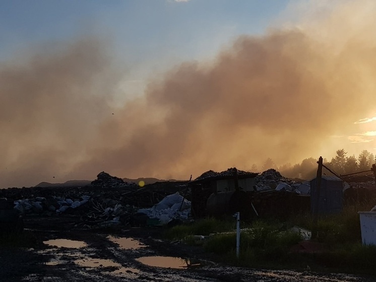 Пожар на мусорной свалке вблизи Кондопоги снова разгорелся