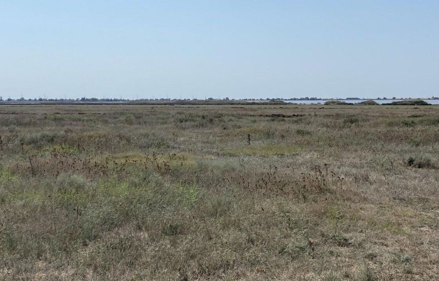 С осени землю будут изымать по новым причинам. Кому грозит штраф в 50 тысяч?