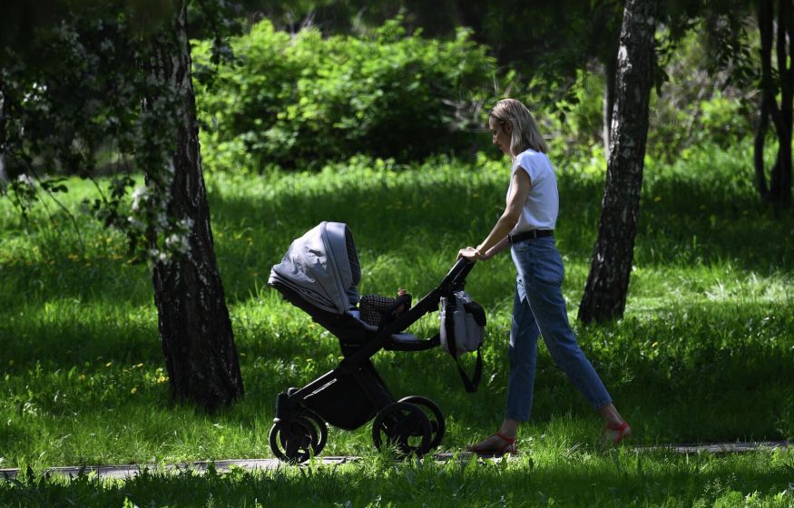 «Ориентирование на многодетность! Такой подход не соответствует демографическим целям!»: призыв СРЗП по маткапиталу
