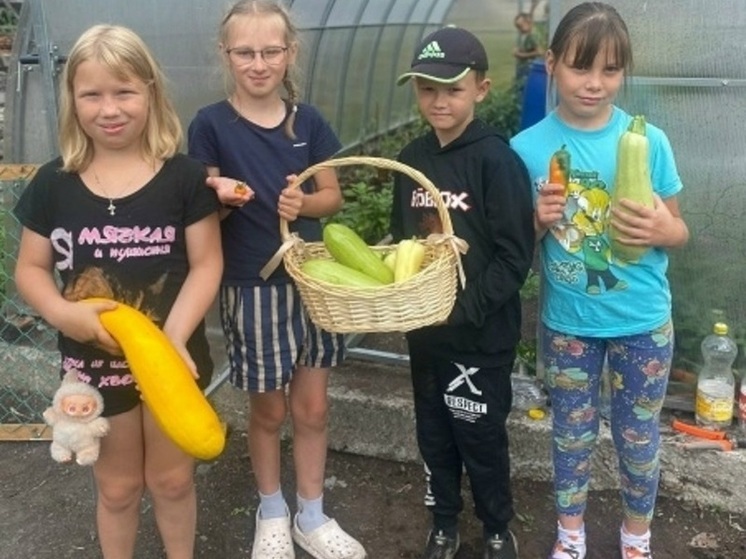 Школьники из деревни Толвуя в Карелии вырастили арбуз