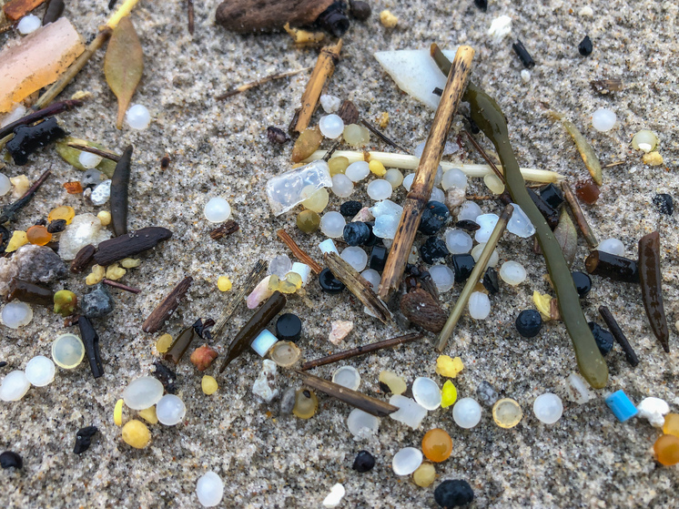 Держаться подальше: загадочные мусорные шарики вернулись на пляжи