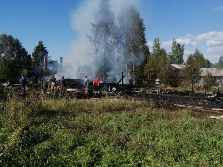 Многодетная мать-одиночка из Карелии осталась без жилья после пожара