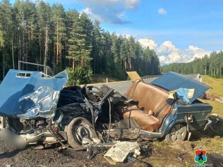 ГАИ Карелии ищет очевидцев трагической аварии в Пряжинском районе