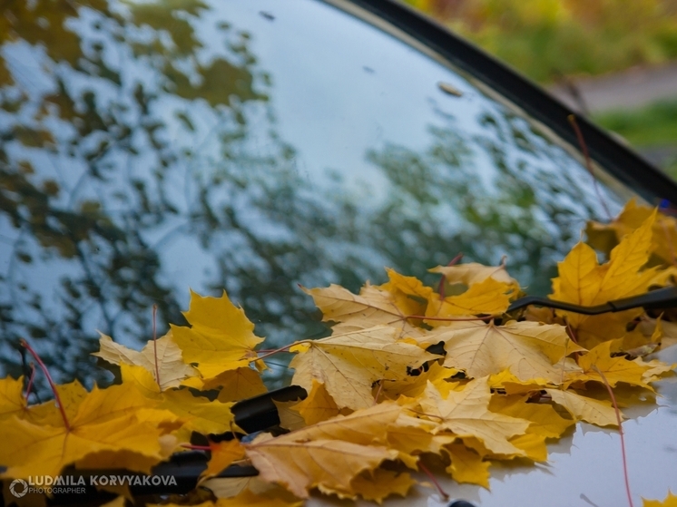 Какая ожидается погода в Карелии 1 сентября: прогноз от синоптиков