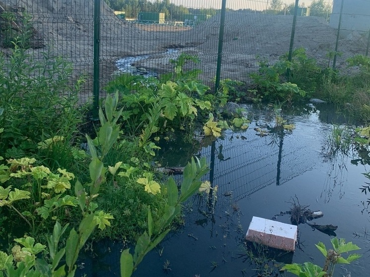 Зловонные реки беспокоят жителей поселка Повенец в Карелии