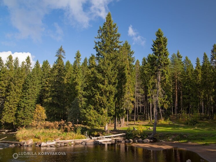 Национальному парку Карелии выделят 1 миллиард рублей для охраны биоразнообразия