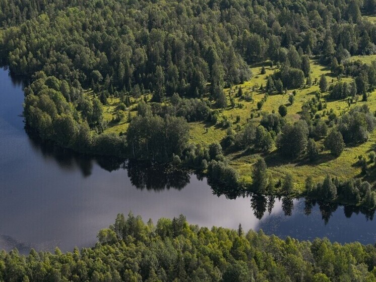 Количество лесных пожаров в Карелии сократилось до двух