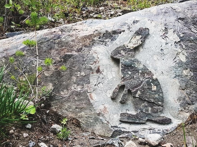 Что скрывает Заячья долина в окрестностях Петрозаводска