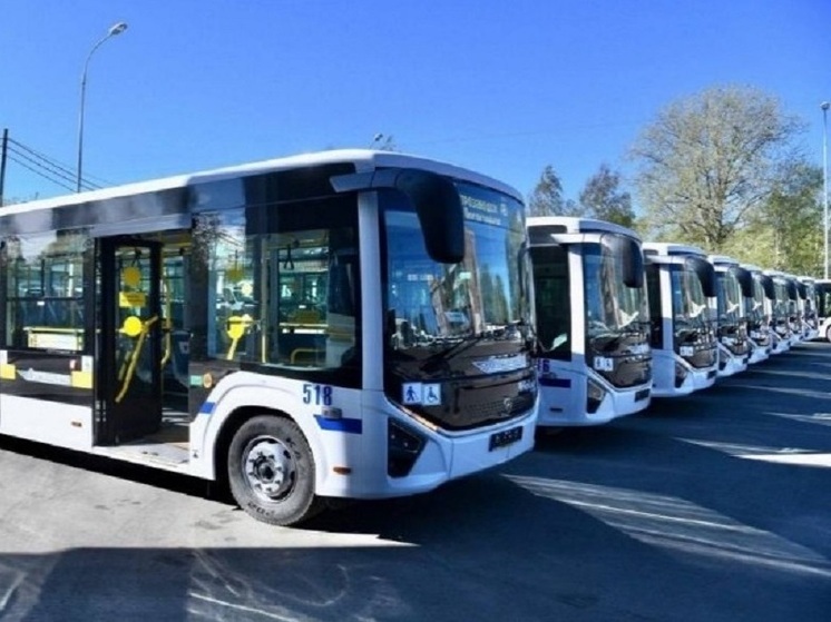 Дополнительные автобусные рейсы свяжут Петрозаводск и Санкт-Петербург