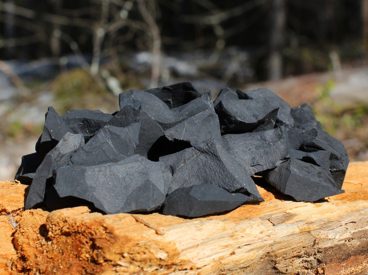 В Карелии планируется организация экскурсий для туристов к шунгитовой шахте