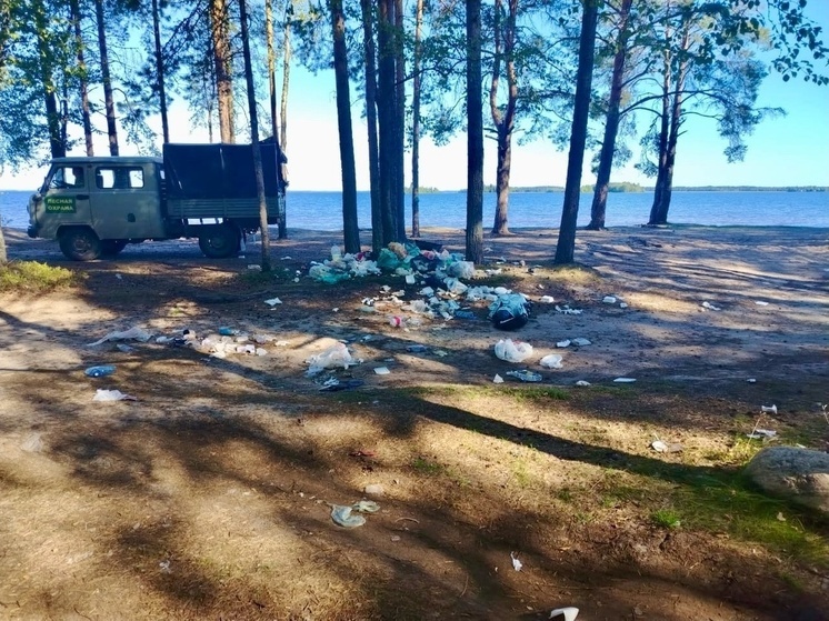 Более 50 свалок ликвидировано в лесах Карелии с начала текущего года