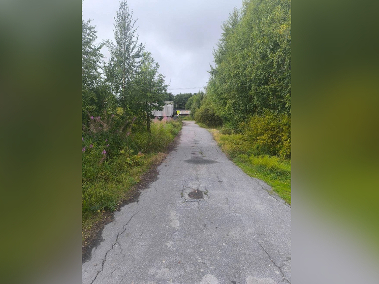 В поселке Карелии началась реконструкция 246-метрового участка дороги