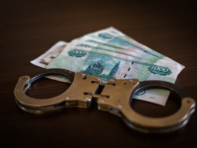 Житель Карелии попался на попытке дать взятку инспектору ДПС