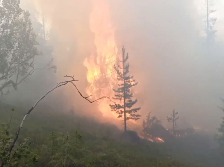 К тушению лесных пожаров в Карелии приступят пятьдесят тюменских спасателей