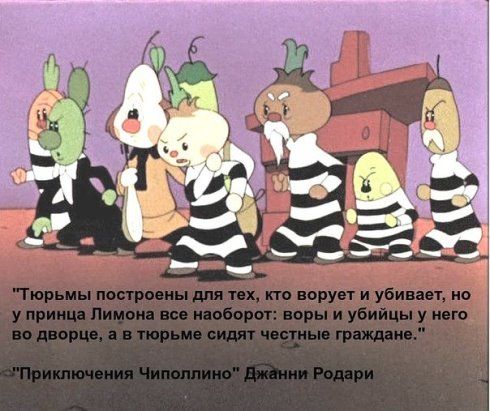 Не вымыты окна и двери – могут дать штраф: юристы предупреждают о новых штрафах в России