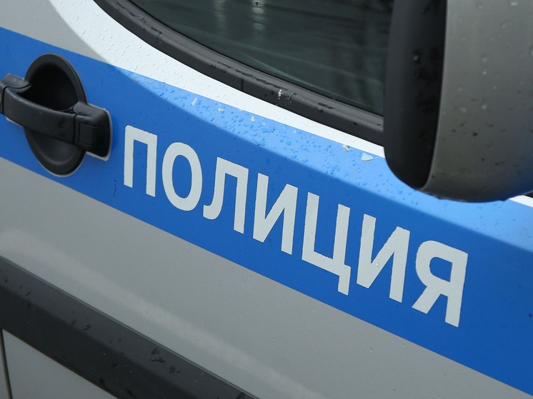 Драка родственников после развода закончилась поножовщиной в Новой Москве