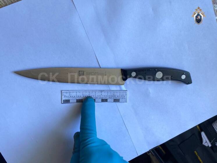 Выяснились подробности трагедии в Дмитрове, где 76-летний пенсионер убил свою сожительницу