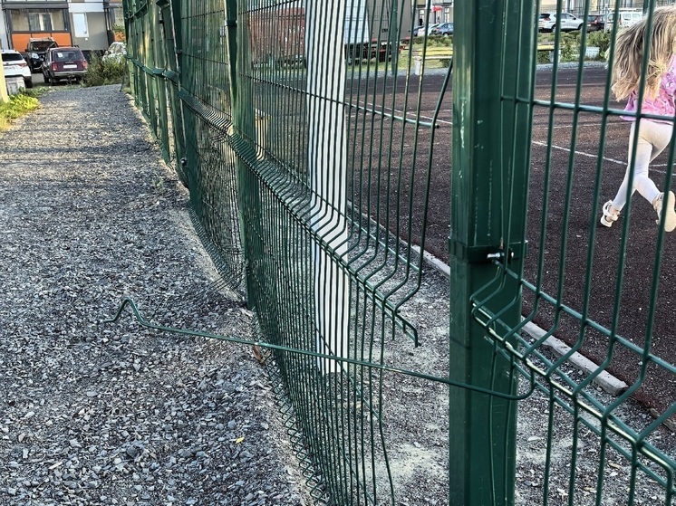 Следственный комитет России отреагировал на травмирование девочки железным прутом в Петрозаводске