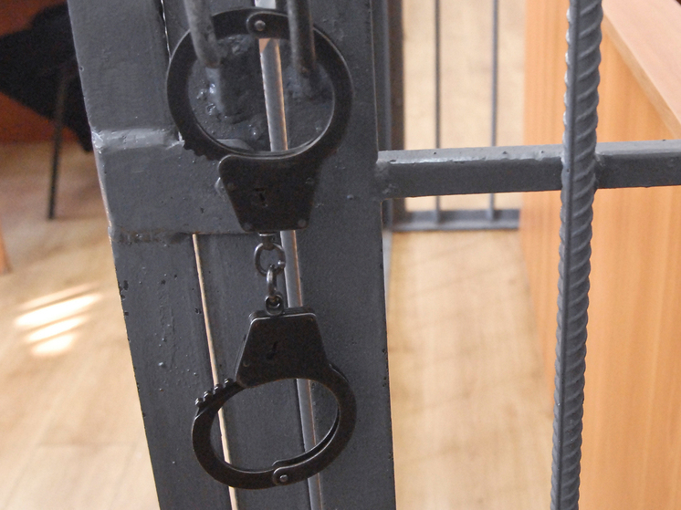 Суд арестовал уроженца Грузии за покушение на убийство, совершенное 23 года назад у Парка Горького