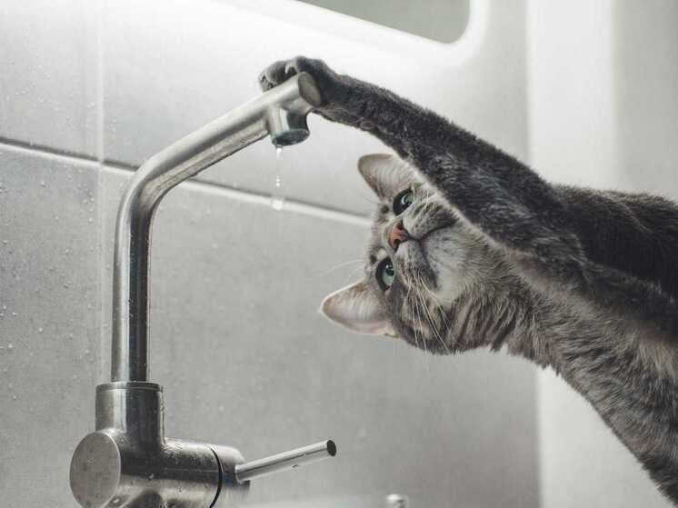 В Петрозаводском районе Древлянка ожидается прекращение подачи горячей воды