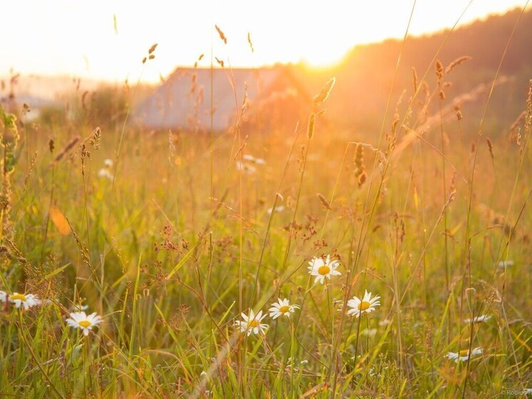 Экстремальная жара в Карелии пойдет на спад