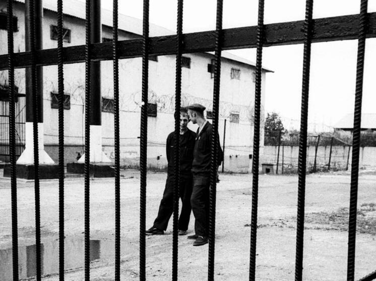 Бизнесмен подставил своих адвокатов под статью