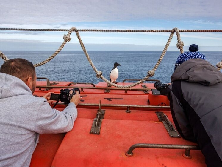 Илья Тимин рассказал об очередном дне научной экспедиции на Север
