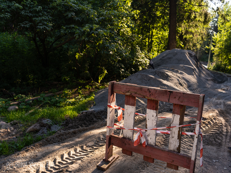 Незаконная стройка обнаружена в лесу Карелии