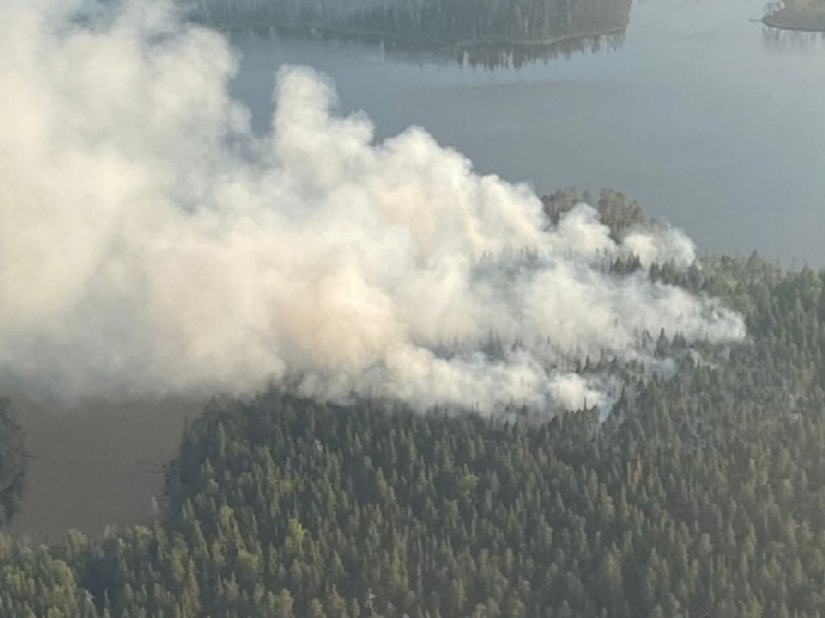 Карелия остается охвачена огнем, несмотря на увеличение финансирования борьбы с пожарами