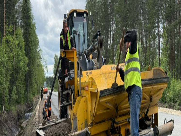 Движение грузовых автомобилей ограничено на поврежденном мосту в Карельском регионе