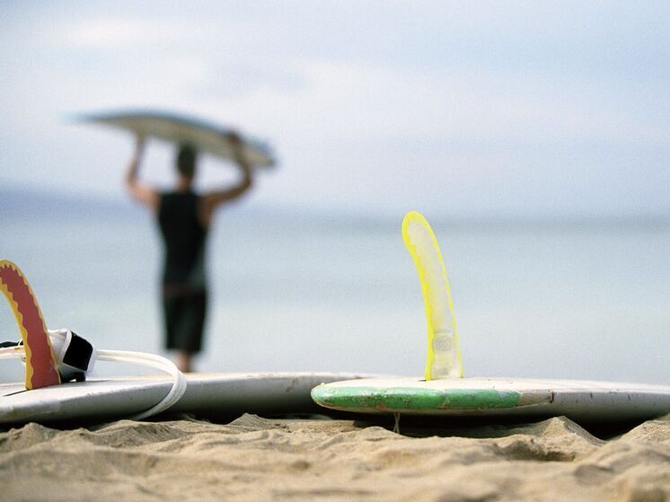 Выкусила кусок доски: серфер чудом избежал гибели в зубах акулы