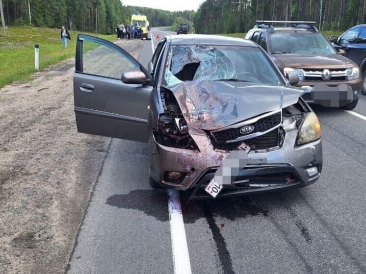 В Карелии на трассе насмерть сбили пешехода