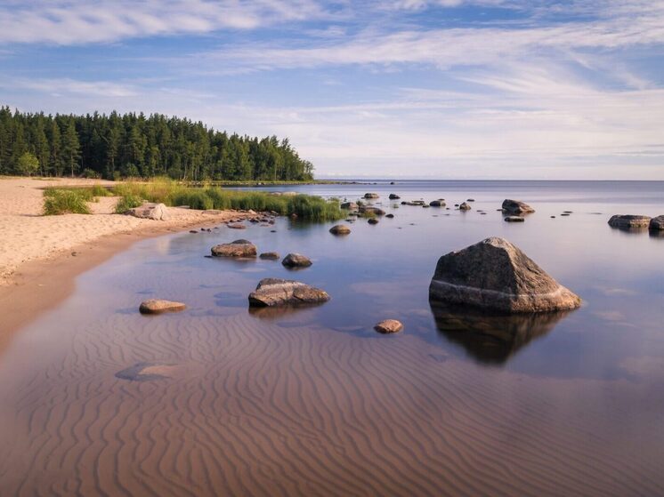 Власти Карельского округа получили предостережение от Росприроднадзора о необходимости предотвращения загрязнения Ладожского озера
