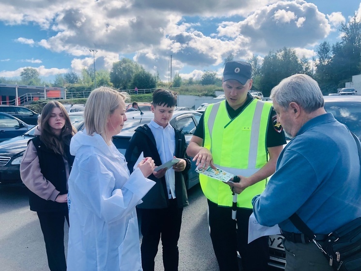 Акция «Письмо водителю» прошла в Петрозаводске .