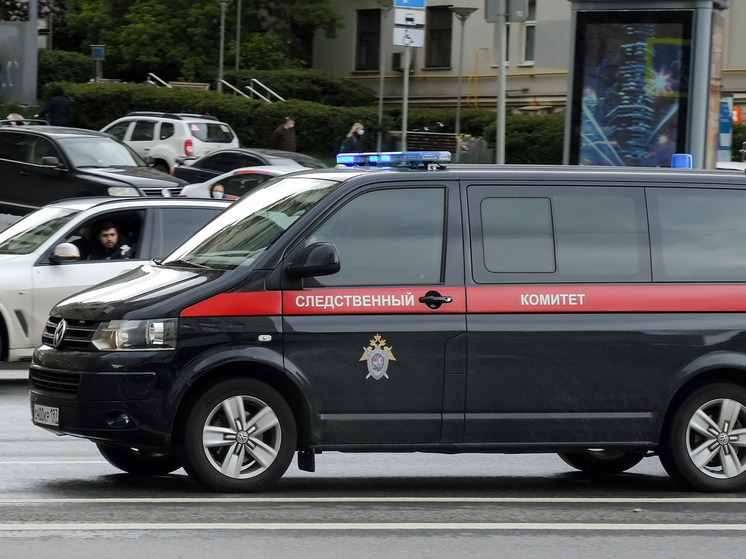 Душевнобольная москвичка едва не погубила ребенка, уронив его в унитаз