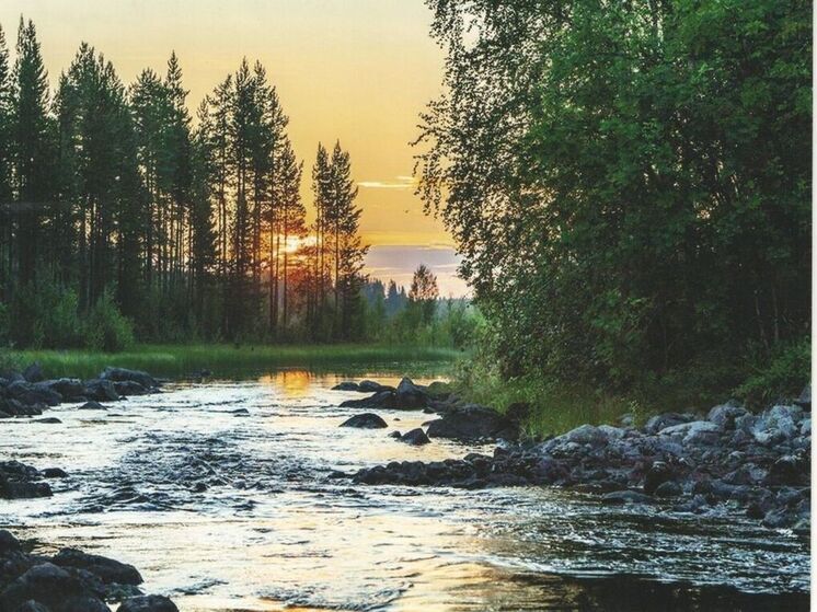 Ролик о том, как сотрудники лесничества защищают карельскую природу, выложили в сеть