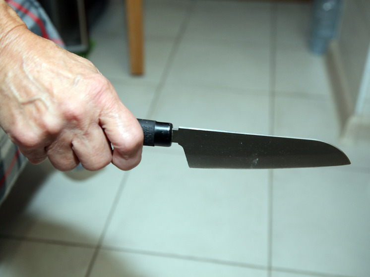 В Москве мужчина изрезал ножом собаку жены, обсуждая с ней развод