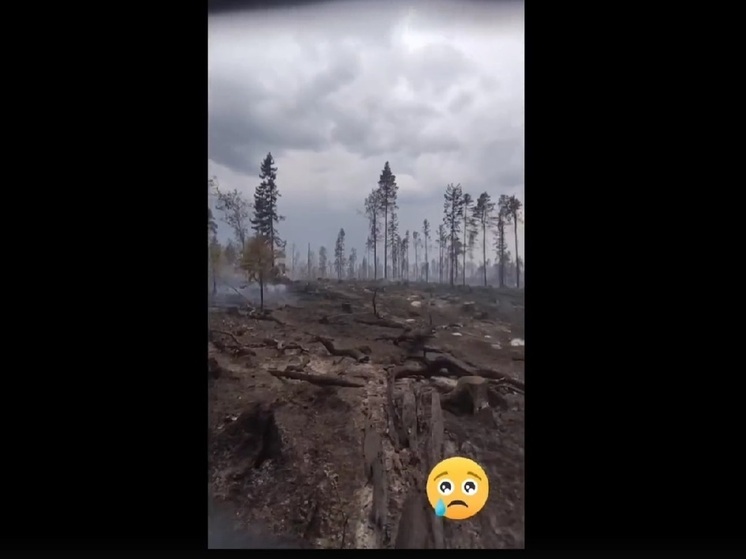 Волонтеры из ДОСААФ ВПК Костомукши опубликовали видео тушения лесных пожаров в Карелии