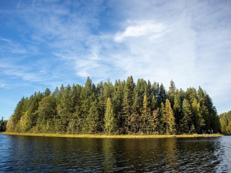 Синоптики рассказали, какой будет погода в Карелии 16 августа